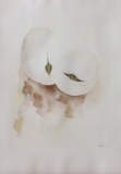 marysepoirier - GERMINATION