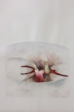 marysepoirier - GERMINATION