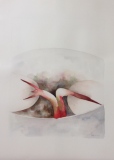 marysepoirier - GERMINATION