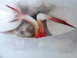 marysepoirier - GERMINATION