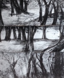 marysepoirier - ARBRES